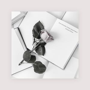 毛片视频免费播放
