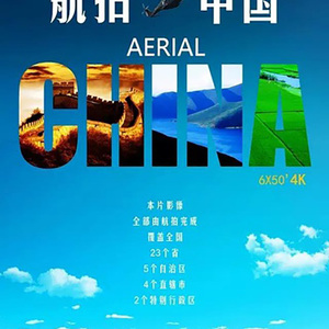 毛片视频免费播放
